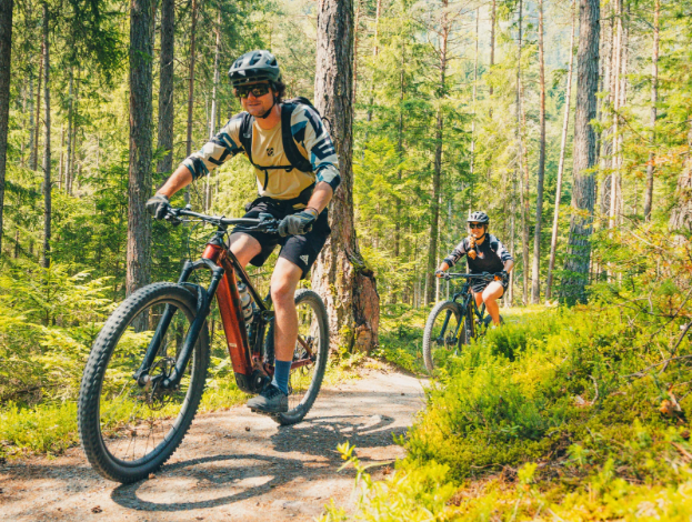 E-Mountainbikes